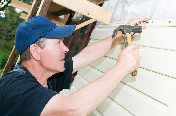 Best Siding Painting and Refinishing  in Midlothian, IL