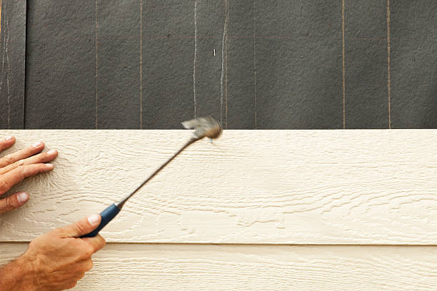 Affordable Siding Repair and Maintenance Services in Midlothian, IL